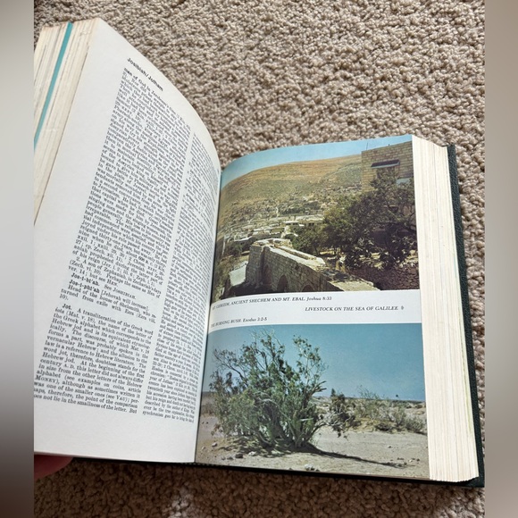 Illustrated Davis Dictionary of the Bible: The Old-Time Gospel Hour Edition - Picture 4 of 5